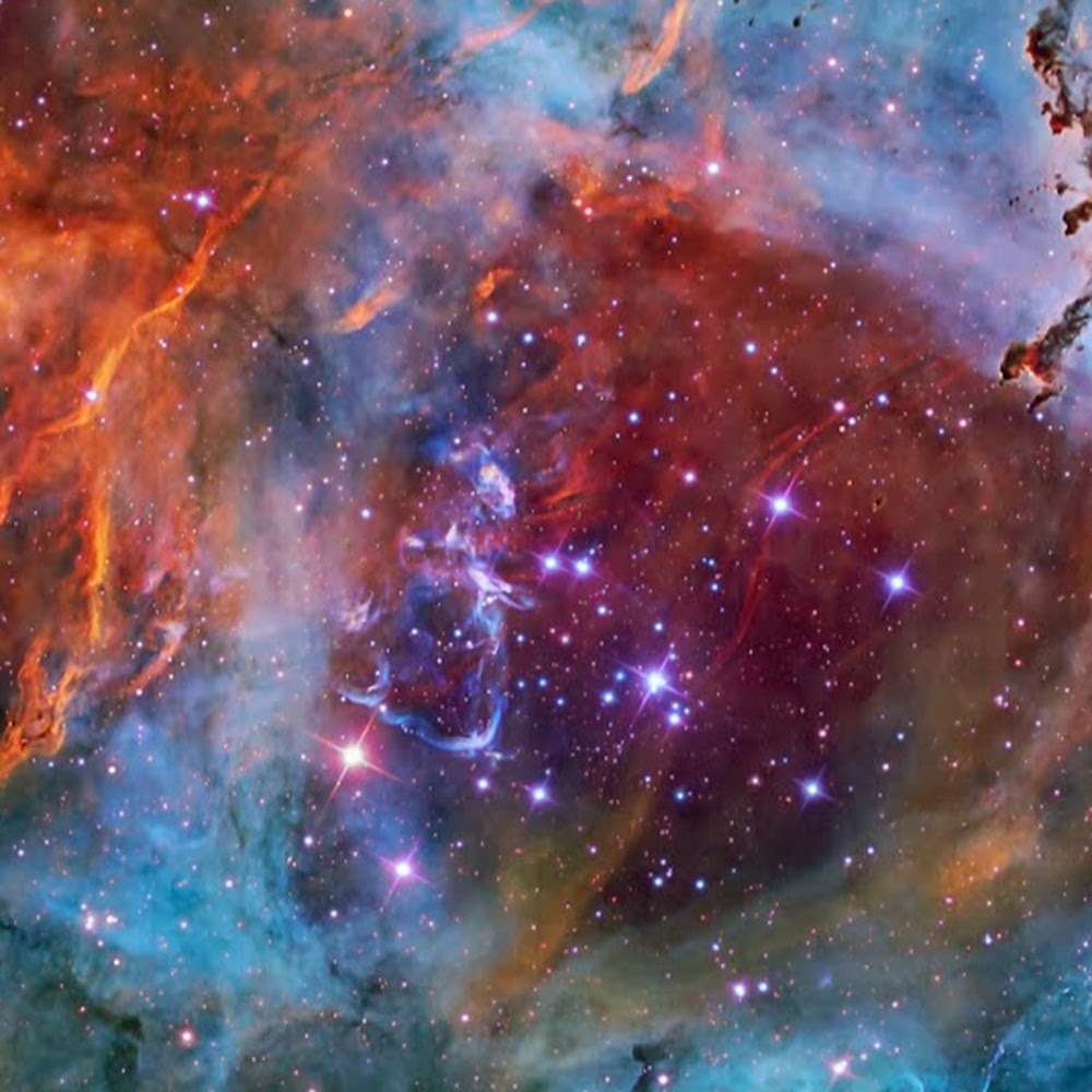 Meet your Posher, Lyla